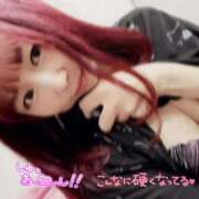 ヒメ日記 2026/01/31 06:39 投稿 さな 新宿プチドール