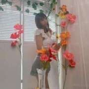 ヒメ日記 2026/02/24 23:44 投稿 さな 新宿プチドール