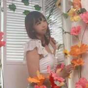 ヒメ日記 2026/02/27 13:39 投稿 さな 新宿プチドール