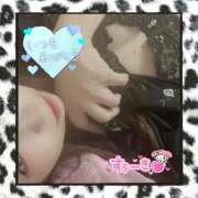 ヒメ日記 2026/03/19 23:29 投稿 さな 新宿プチドール