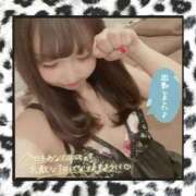 ヒメ日記 2026/04/07 08:49 投稿 さな 新宿プチドール