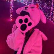 ヒメ日記 2025/10/24 12:10 投稿 ももな 新宿プチドール