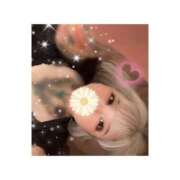 ヒメ日記 2025/06/20 13:39 投稿 しおん 新宿プチドール