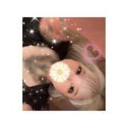 ヒメ日記 2025/09/14 16:39 投稿 しおん 新宿プチドール