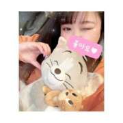 ヒメ日記 2025/11/12 23:09 投稿 しおん 新宿プチドール