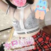 ヒメ日記 2025/01/12 18:09 投稿 きら 新宿プチドール