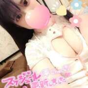 ヒメ日記 2025/04/12 09:19 投稿 きら 新宿プチドール