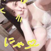 ヒメ日記 2025/09/07 19:19 投稿 きら 新宿プチドール