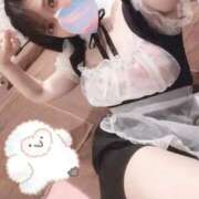 ヒメ日記 2025/10/18 17:19 投稿 きら 新宿プチドール