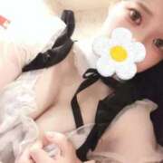 ヒメ日記 2025/12/01 21:07 投稿 きら 新宿プチドール