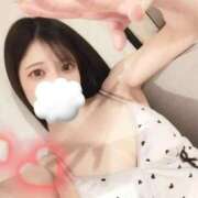 ヒメ日記 2026/03/11 00:20 投稿 きら 新宿プチドール