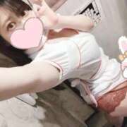 ヒメ日記 2026/04/09 23:59 投稿 きら 新宿プチドール