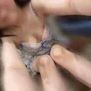 ヒメ日記 2024/12/14 22:20 投稿 ふたば 新宿プチドール