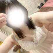 ヒメ日記 2025/12/29 12:59 投稿 ふたば 新宿プチドール