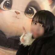 ヒメ日記 2024/12/23 13:39 投稿 みみ 新宿プチドール