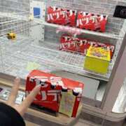 ヒメ日記 2024/12/26 03:59 投稿 みみ 新宿プチドール