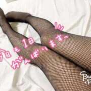 ヒメ日記 2025/01/29 10:01 投稿 みみ 新宿プチドール