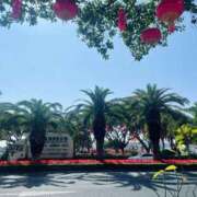 ヒメ日記 2025/02/05 17:49 投稿 みみ 新宿プチドール