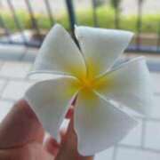 ヒメ日記 2025/02/23 14:29 投稿 みみ 新宿プチドール