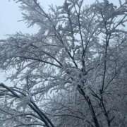 ヒメ日記 2025/03/08 16:09 投稿 みみ 新宿プチドール