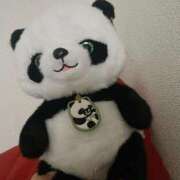 ヒメ日記 2025/03/09 14:49 投稿 みみ 新宿プチドール