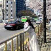 ヒメ日記 2025/04/10 09:49 投稿 みみ 新宿プチドール