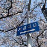 ヒメ日記 2025/04/11 19:09 投稿 みみ 新宿プチドール