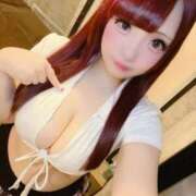 ヒメ日記 2025/11/11 10:49 投稿 ののか 新宿プチドール