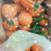 ヒメ日記 2024/12/13 08:49 投稿 ウミ 新宿プチドール