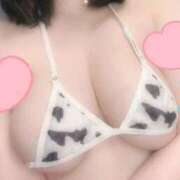 ヒメ日記 2025/02/20 13:59 投稿 ウミ 新宿プチドール