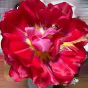 ヒメ日記 2025/03/12 10:45 投稿 ウミ 新宿プチドール