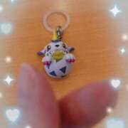 ヒメ日記 2025/03/17 12:09 投稿 ウミ 新宿プチドール