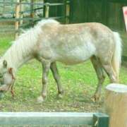 ヒメ日記 2025/06/25 09:09 投稿 ウミ 新宿プチドール