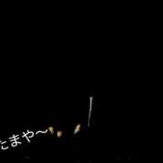 ヒメ日記 2025/06/25 18:49 投稿 ウミ 新宿プチドール