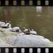 ヒメ日記 2025/07/05 12:14 投稿 ウミ 新宿プチドール