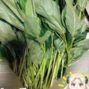 ヒメ日記 2025/07/06 11:29 投稿 ウミ 新宿プチドール