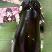 ヒメ日記 2025/07/19 10:19 投稿 ウミ 新宿プチドール