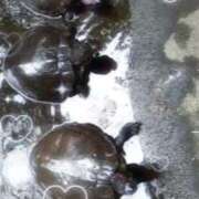 ヒメ日記 2025/07/20 10:29 投稿 ウミ 新宿プチドール