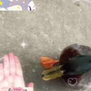 ヒメ日記 2025/07/20 15:19 投稿 ウミ 新宿プチドール