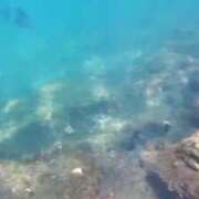 ヒメ日記 2025/08/03 10:09 投稿 ウミ 新宿プチドール