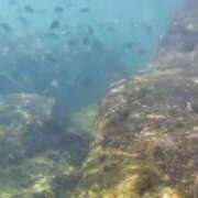 ヒメ日記 2025/08/03 11:09 投稿 ウミ 新宿プチドール