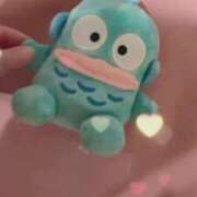 ヒメ日記 2025/09/13 13:09 投稿 ウミ 新宿プチドール