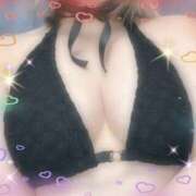 ヒメ日記 2025/10/09 14:59 投稿 ウミ 新宿プチドール