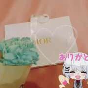 ウミ Gちゃんへ⸜(◍´˘`◍)⸝❤ 新宿プチドール