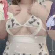 ヒメ日記 2026/02/08 00:19 投稿 ウミ 新宿プチドール