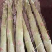 ヒメ日記 2026/03/02 14:09 投稿 ウミ 新宿プチドール