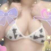 ヒメ日記 2026/03/19 15:04 投稿 ウミ 新宿プチドール