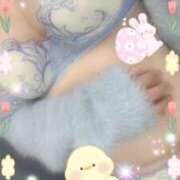 ヒメ日記 2026/03/27 15:19 投稿 ウミ 新宿プチドール