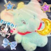 ヒメ日記 2026/03/28 10:22 投稿 ウミ 新宿プチドール