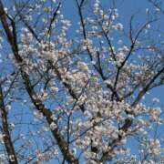 ヒメ日記 2026/03/28 18:21 投稿 ウミ 新宿プチドール